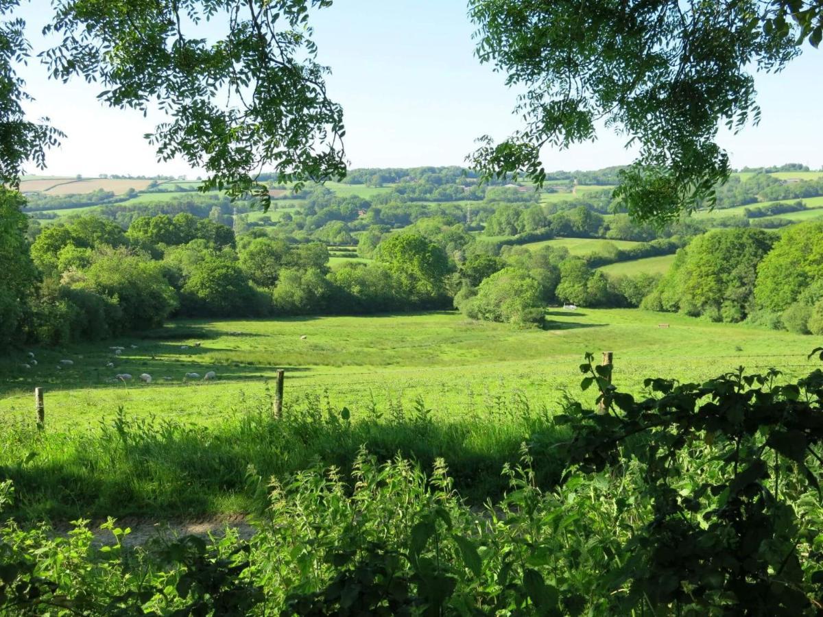 Horseshoe Barn Axminster Dış mekan fotoğraf
