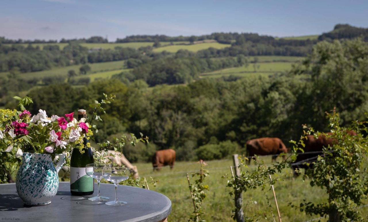Horseshoe Barn Axminster Dış mekan fotoğraf